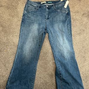 Anthropologie Pilcro Bootcut Jeans 22W